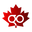 Go Safety Vision logo